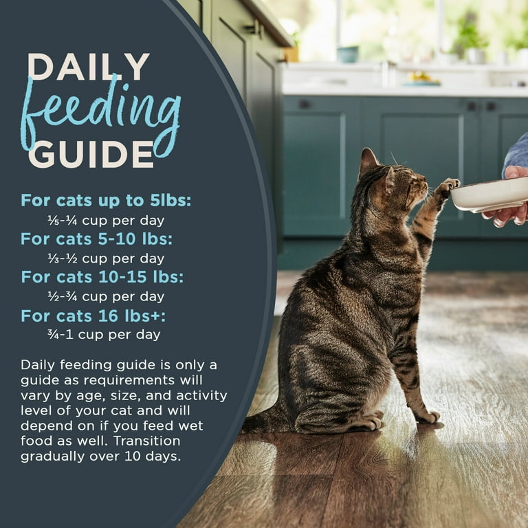 Reveal Pet Food Natural Grain Free Dry Cat Food, Whitefish, 3 Lb photo 5