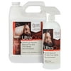 UltraCruz Equine Natural Fly and Tick Spray for Horses, 32 oz with 1 Gallon Refill Bundle