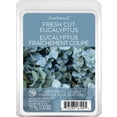thumbnail image 1 of ScentSationals, Scented Wax Cubes - Fresh Cut Eucalyptus, 1 of 6