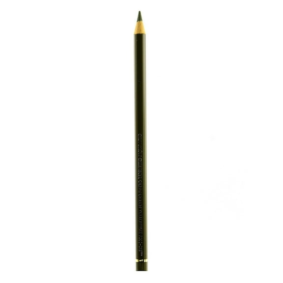 Faber-Castell Polychromos Artist Olive Green Yellowish Colored Pencils (Pack of 12)