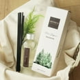 thumbnail image 2 of Difusor Sola Aronica, moderno, para decoración navideña, de hoja perenne, 200 ml, 2 of 7