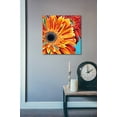 thumbnail image 3 of Epic Art 'Color Bursts II' by Carolee Vitaletti, Acrylic Glass Wall Art, 24"x24", 3 of 5
