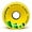 Yellow, 86a, variant on Orangatang Durian 75 mm Freeride Longboard Skateboard Wheels (Set of 4)