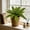 C, variant on Tuscom Artificial Green Plant for Indoor Outdoor Decoration, Faux Greenery Bush for Wall Table, Lifelike Plastic Plant for Home Garden