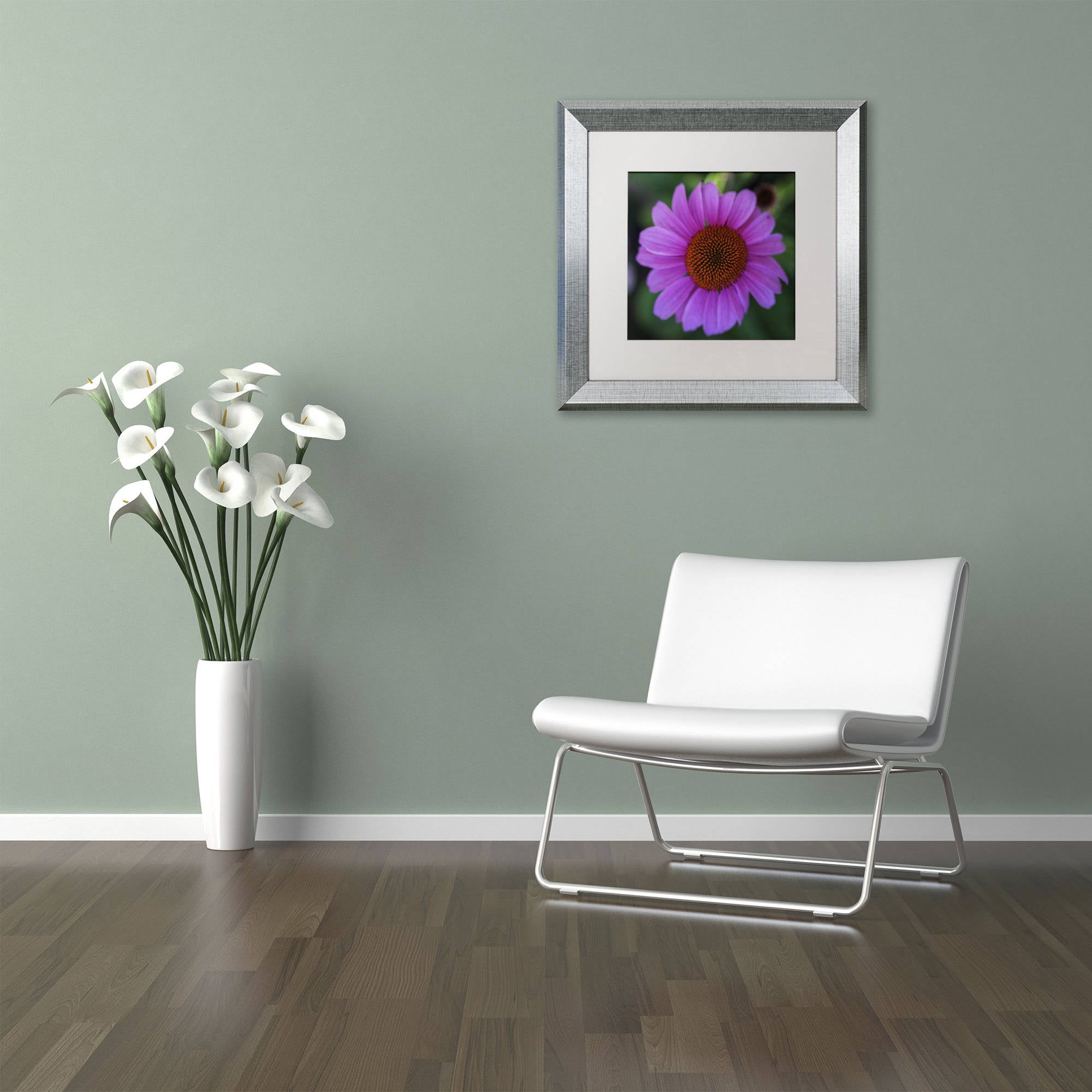 Trademark Fine Art "Purple Coneflower" Canvas Art by Kurt Shaffer, White Matte, Silver Frame