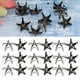 thumbnail image 4 of PERNOS DE 10 MM PARA ROPA, REMACHES DE Estrella de 10 mm 200 piezas de Remaches de Estrella Clavos de Garra de Estrella de 5 Puntas Bolsas de Bricolaje Sombreros 200 piezas de, 4 of 7