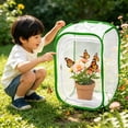 thumbnail image 2 of WLGJL Insect and Butterfly Habitat Cage Terrarium Pop-up 23.6 Inches Tall, 2 of 6
