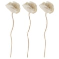 thumbnail image 2 of Miangastore 3pcs Aroma Dried Flower Diffuser Sticks Essential Oil Diffuser Aromatherapy Wooden Sticks, 2 of 9