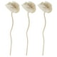 thumbnail image 5 of BRIGHTFUFU 3pcs Aroma Difusor de flores secas Difusoras de aceite esencial Aromaterapia Stickes de madera, 5 of 7