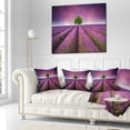 thumbnail image 2 of Designart Lavender Field Sunset with Single Tree - Floral Throw Pillow - 16x16, 2 of 4