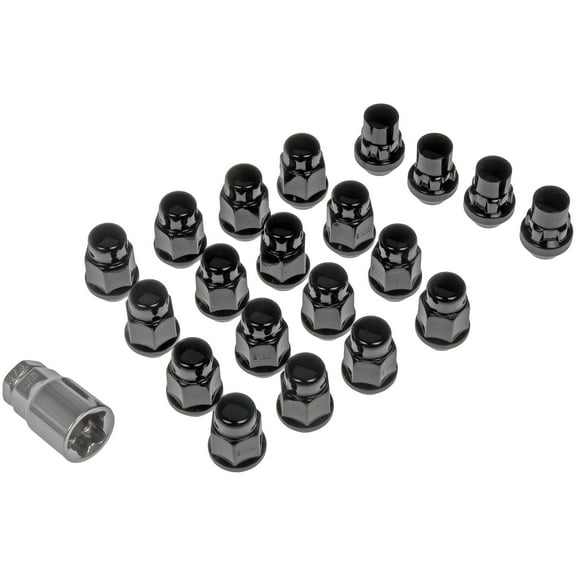 Dorman 711-346 Wheel Lock Set for Specific Models, Chrome (Pack of 20)