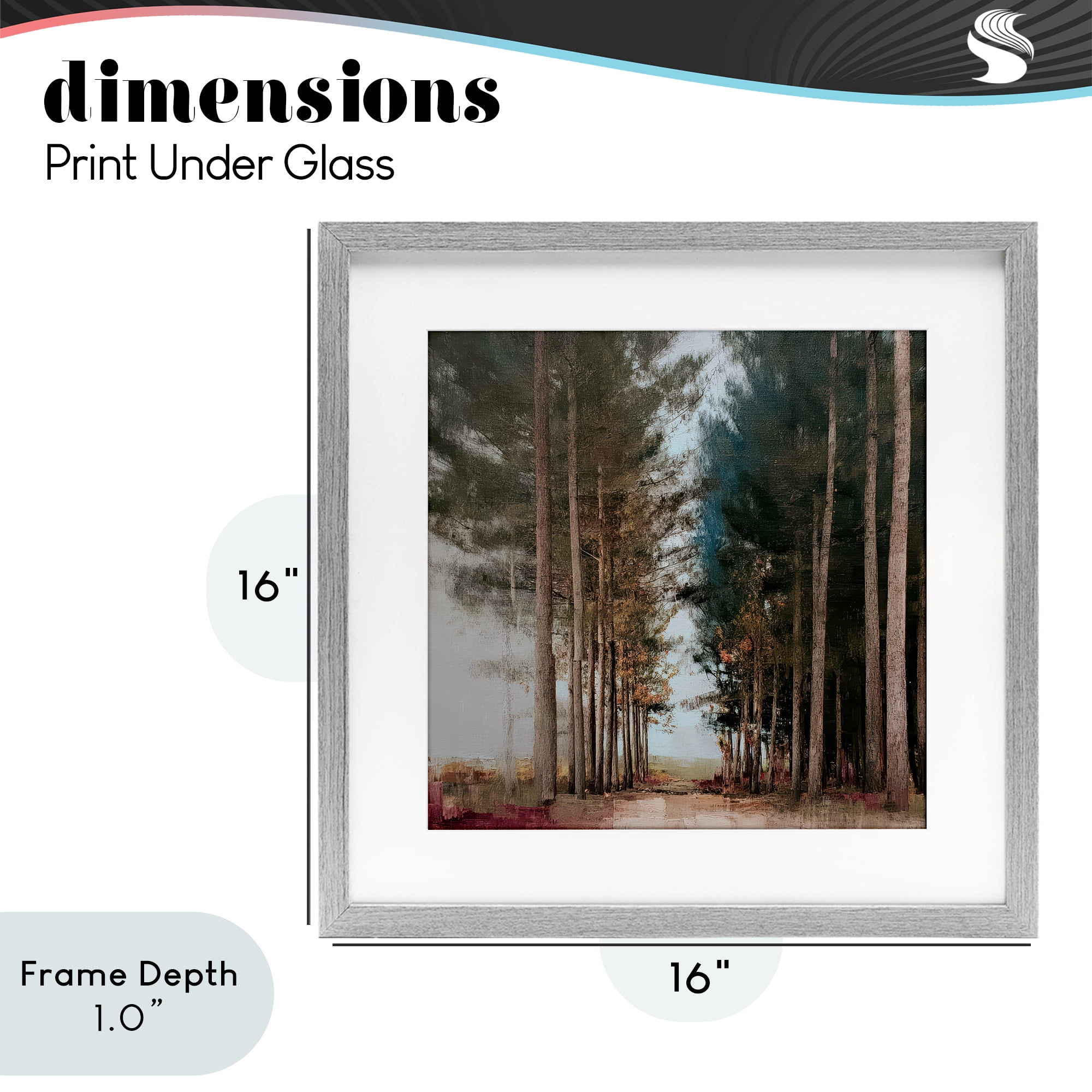 Stupell Industries Tall Trees Pathway Gray Framed Print Under Glass, design by Kim Curinga