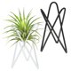 thumbnail image 1 of Uxcell 2-Pack Soportes Geométricos para Plantas Aéreas, Soporte de Metal Moderno 1014 para Pequeñas Plantas de Interior y Exterior [Blanco, Negro, 3.9" H], 1 of 6