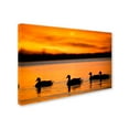 thumbnail image 2 of Trademark Fine Art "Jamaica Bay Sunset - NYC II" Canvas Art by David Ayash, 2 of 3