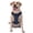 Without Accessories, variant on Vsdgher Nautical Themed Simple Anchors Pattern Dog Harness,No Pull Pet Harness with Soft Padded Handle,Adjustable Reflective Vest with 2 Buckles,4 Slide Buckles,S-XL