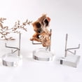 thumbnail image 3 of Set De 3 Expositores De Acrílico Transparente Soporte Para Piezas De Coral Minerales Sunnimix soportes de exhibición, 3 of 8