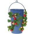thumbnail image 1 of 7 Po dia. x 13 Po. Fraise Galvanisée et Jardinière à Fleurs&44; Bleu, 1 of 1