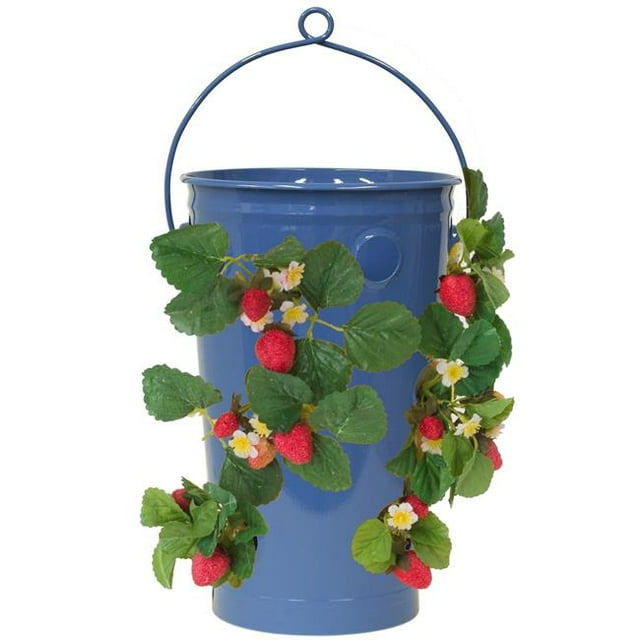 7 Po dia. x 13 Po. Fraise Galvanisée et Jardinière à Fleurs&44; Bleu