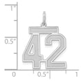 thumbnail image 3 of Sterling Silver/Rhodium-plated Satin Number 42 Charm QPM42, 3 of 4