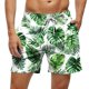 thumbnail image 2 of Kakii Men's Swim Trunks Hawaiian Bathing Mesh Lining Suit Swimsuits Beach Shorts with Pockets, 2 of 6