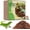 1 Pack-10LBS, variant on 2 Pack Natural Coconut Fiber Substrate for Reptile- Premium Compressed Coconut Husk Terrarium Bedding for Reptile, Tortoise, Frogs, Snakes Hermit Crabs, Burrowing Animals