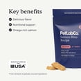 thumbnail image 2 of PetLab Co. Salmon Bites for Dogs – Rich in Beneficial Fatty Acids, Vitamins & Minerals - Premium Salmon Dog Treats Your Pup Will Drool Over - Carefully Selected Ingredients – Delicious Reward, 2 of 5