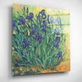 thumbnail image 3 of Epic Art 'Irises in Bloom II' by Tim O'Toole, Acrylic Glass Wall Art, 12"x12", 3 of 7
