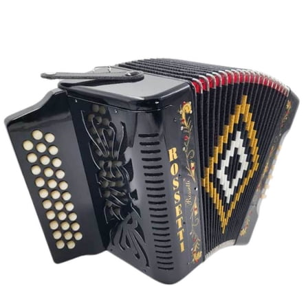 Rossetti 31-Button Diatonic Accordion 12 Bass GCF Black  3112-GCF-BK