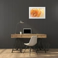 thumbnail image 3 of Mahan, Kathy 24x17 White Modern Wood Framed Museum Art Print Titled - Yellow Roses II, 3 of 4