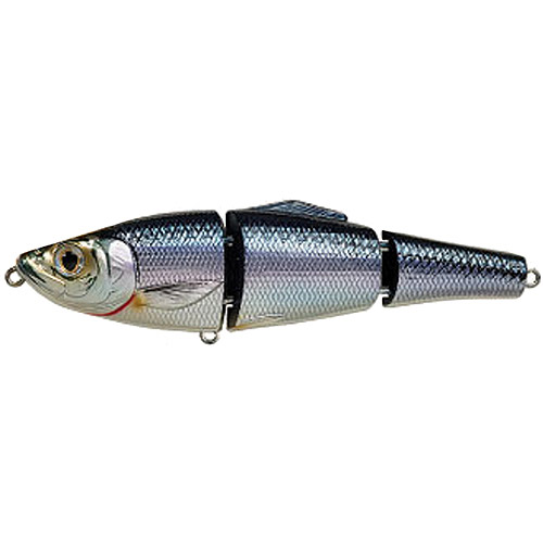 Koppers Fishing Tackle LIVETARGET Blueback Herring