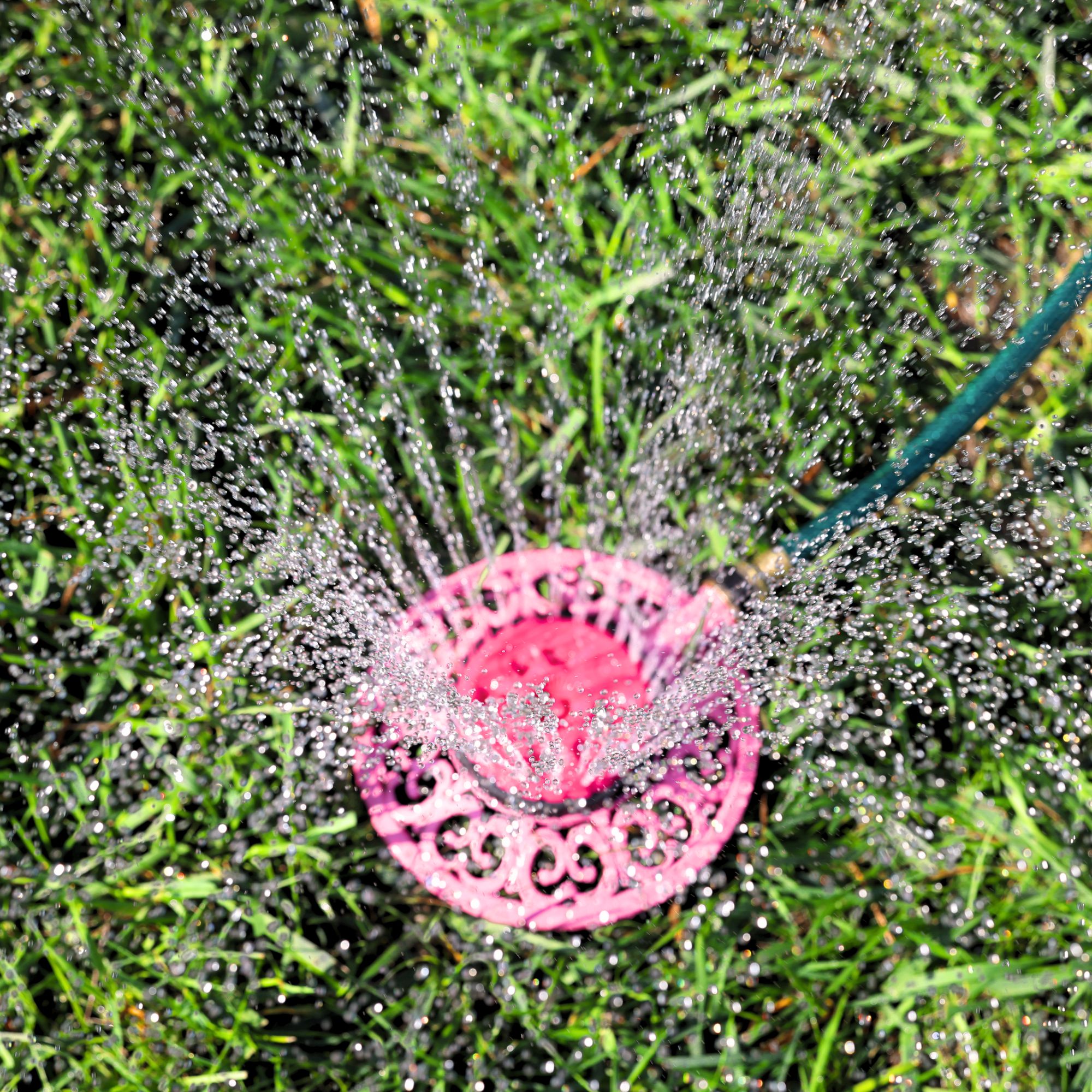 Sprout Metal 8-Pattern Stationary Sprinkler in Raspberry Red