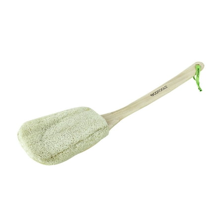 EcoTools Loofah Bath Brush (Best Brush For Body Brushing)