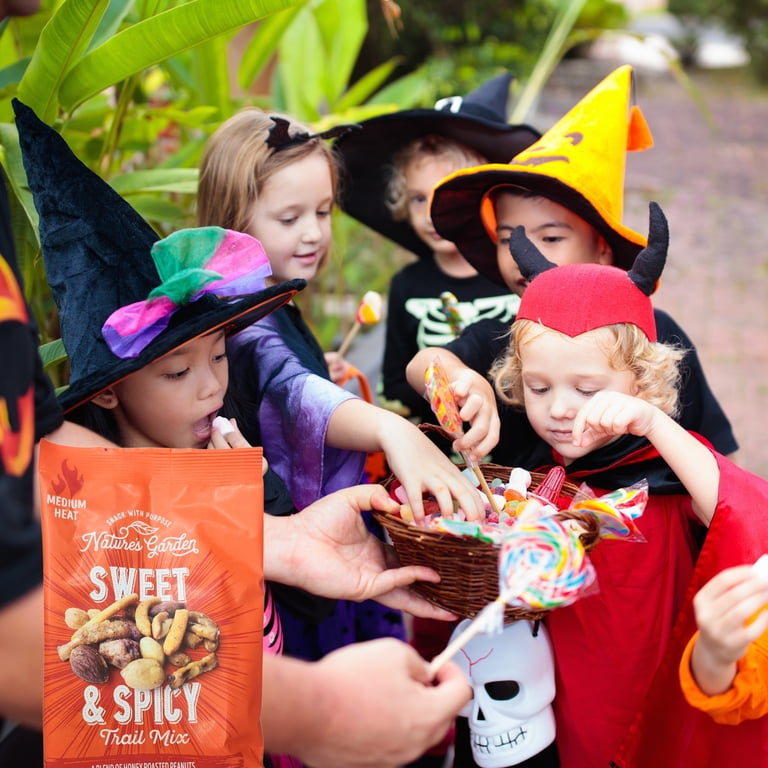 Nature's Garden Sweet & Spicy Trail Mix Snack 4 oz 3 Pack, Healthy