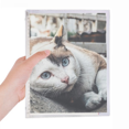 thumbnail image 1 of Carnet Photo de Chat Coloré Animal Journal Rechargeable Papeterie, 1 of 3