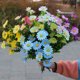 thumbnail image 2 of Margarita de seda de flores artificiales - 2 racimos de flores falsas al aire libre para la decoración de la boda del jardín del hogar, mesa, ventana, decoración de la caja brillar Hogar, 2 of 6