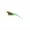 Green, variant on QXFBJOQH Cats Toy Bird Replacement Head With Bell, Interactive Feather Bird Refill For Cats Wand, Natural Feather Bird Cats Toy With Bell, Random Pattern Fabric Bird