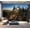 Color1, variant on Peel and Stick Wallpaper Magic forest Modern Art Wall Mural Decor Self Adhesive and Removable 69in x 98in