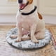 thumbnail image 5 of Almohadilla de Gel para Perros y Gatos Perfecta para los Calurosos Días de Verano Proporciona una Calma Instantánea, 5 of 6