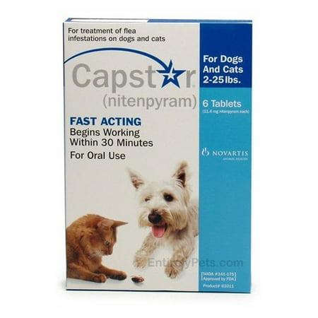 flea treatment for puppies 6 weeks capstar flea treatment flea tick care walmart flea treatment for puppies 6 weeks capstar flea treatment flea tick care walmart