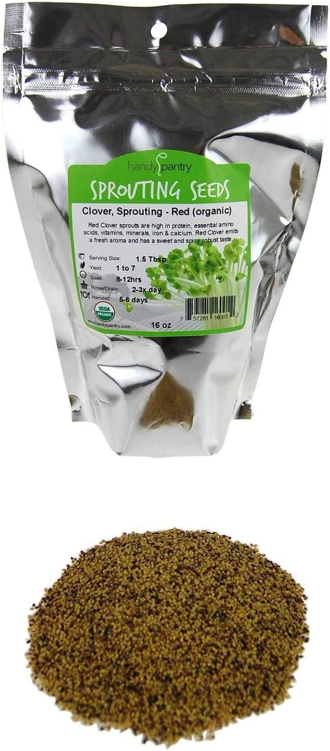 Organic Red Clover Sprouting Seeds by Handy Pantry Brand 1 Lb