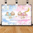 thumbnail image 4 of Bear Gender Reveal Cute Backdrop He or She Gender Reveal Photography Background Pink or Blue Moon and Star Boy or Girl Gender Reveal Party Photo Shoot Pregnancy Reveal Party Decorations, 4 of 4