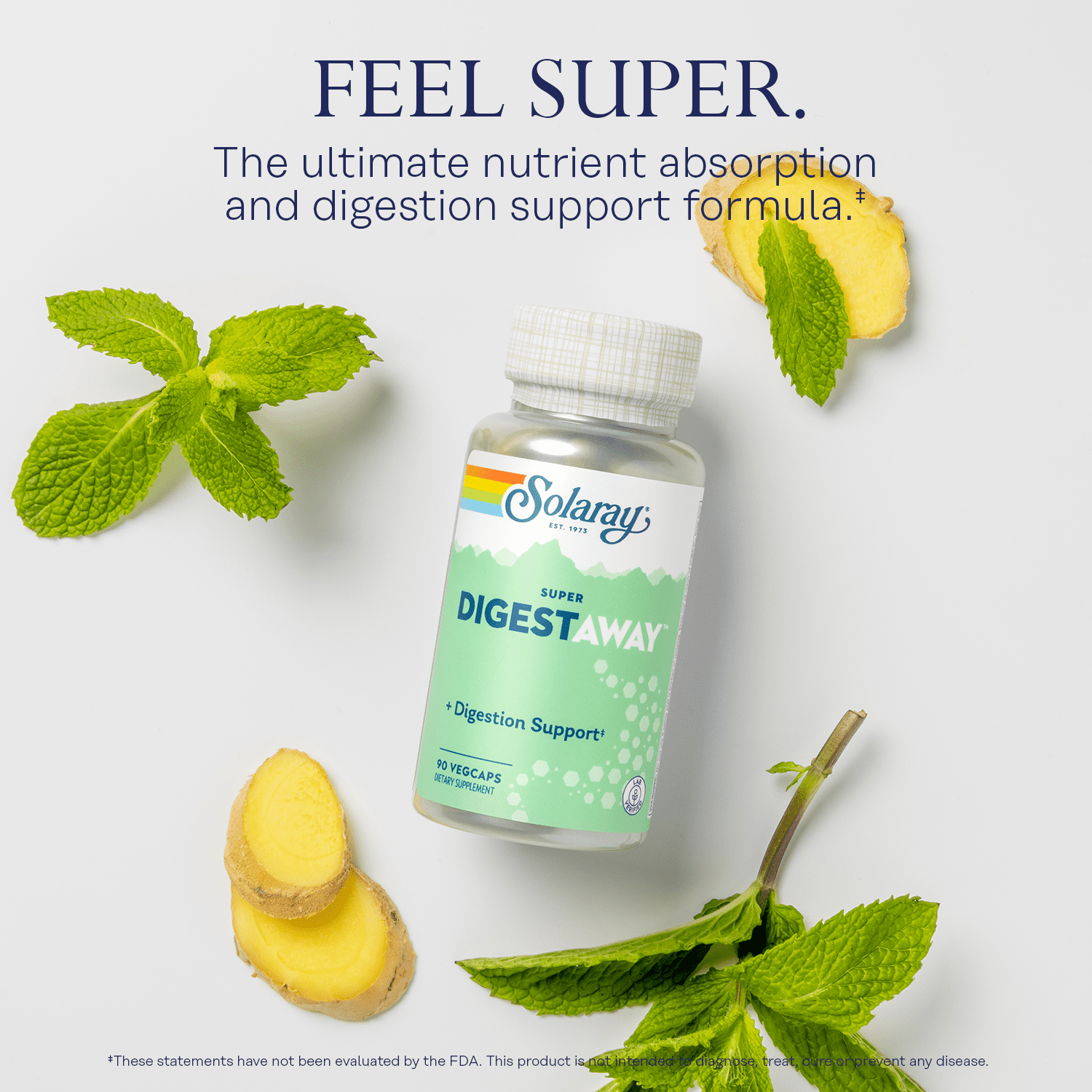 Solaray Super Digestaway Digestive Enzyme Blend | Healthy Digestion & Absorption of Proteins, Fats & Carbohydrates | Lab Verified | 90 VegCaps