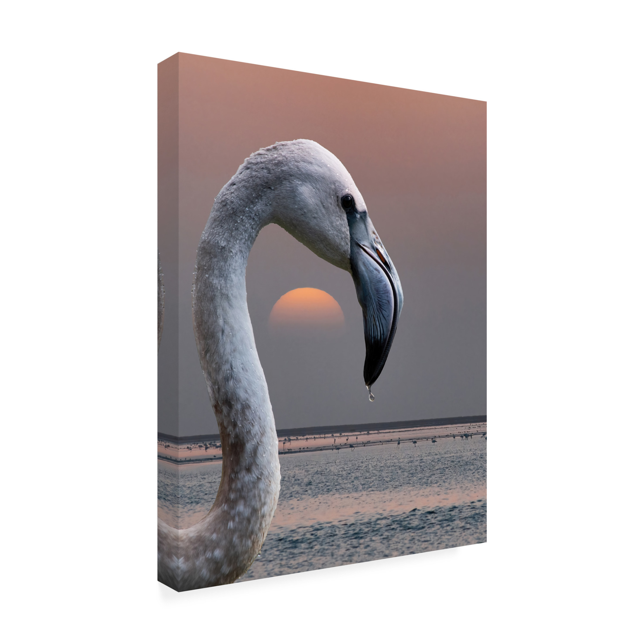 Trademark Fine Art Mathilde Guillemot This Is My World Canvas Wall Art