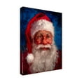 thumbnail image 2 of Meadowpaint 'Mr Mischief' Canvas Art, 2 of 3
