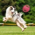 thumbnail image 3 of Pet Dog Flying Disc EVA Dog Training Ring with Double Handles Dog Flyer Outdoor Activity Fetch, 3 of 7