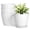 White, variant on Plant Pots, Planters for Indoor Outdoor with Drainage Holes & Saucers, Flower Pots for Indoor Plants, Indoor Plant Pots