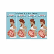 The Levels of A Full Term Pregnancy Poster Childbirth Education Wall Art Canvas Painting Wall Art