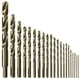 thumbnail image 2 of Juego de brocas BOSCH CO21B de metal cobalto M42 de 21 piezas con funda, 2 of 7