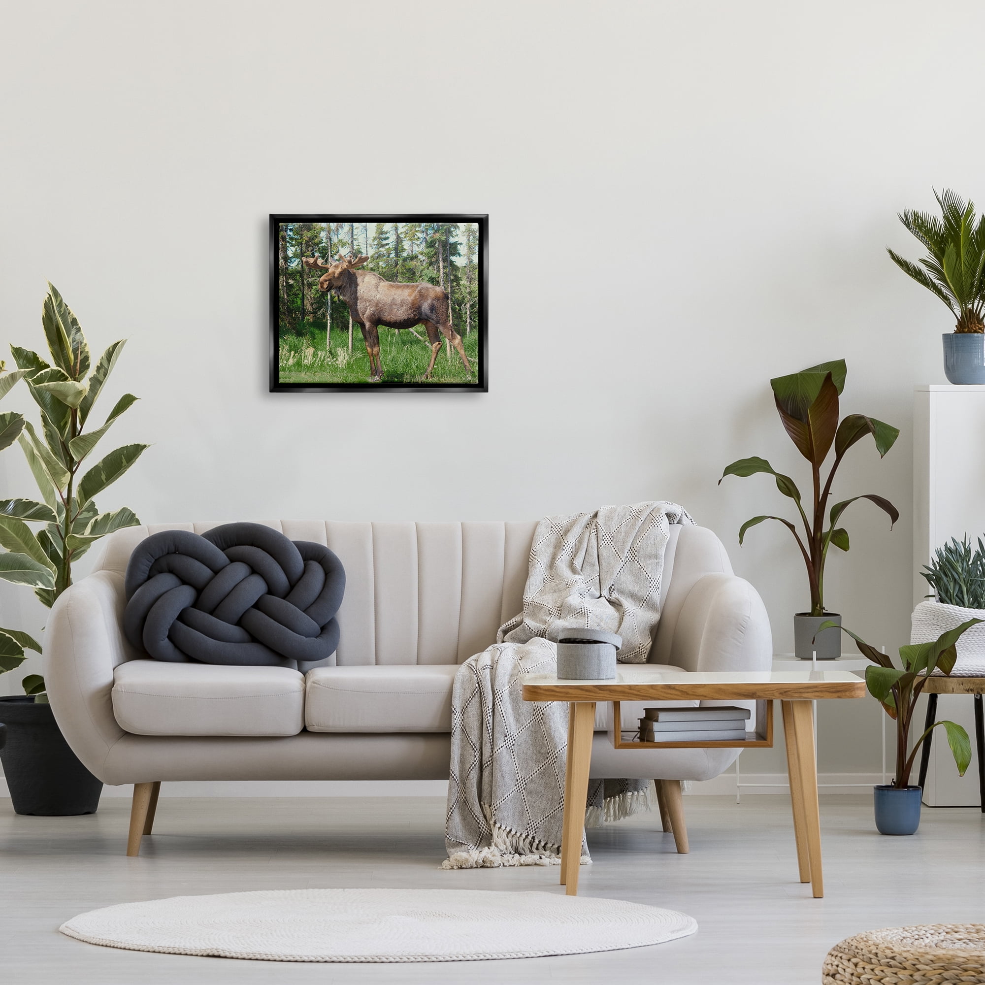 Stupell Moose Forest Grove Woodland Landscape Animals & Insects Photography Black Floater Framed Art Print Wall Art