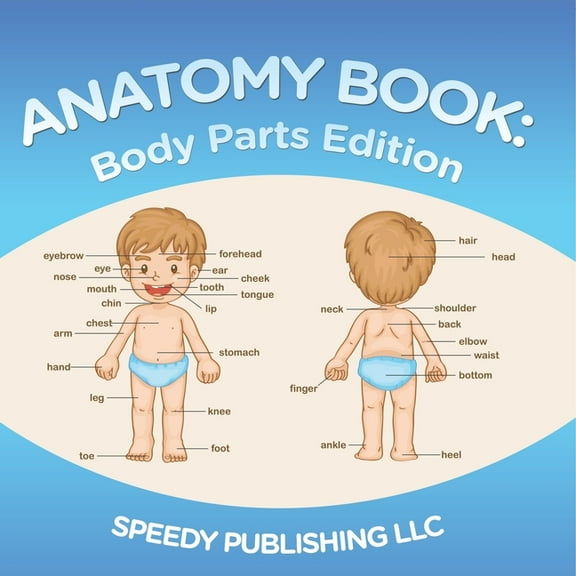 Anatomy Book: Body Parts Edition, (Paperback)